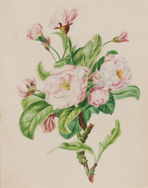 ENGLISH SCHOOL, 19TH CENTURY (3)