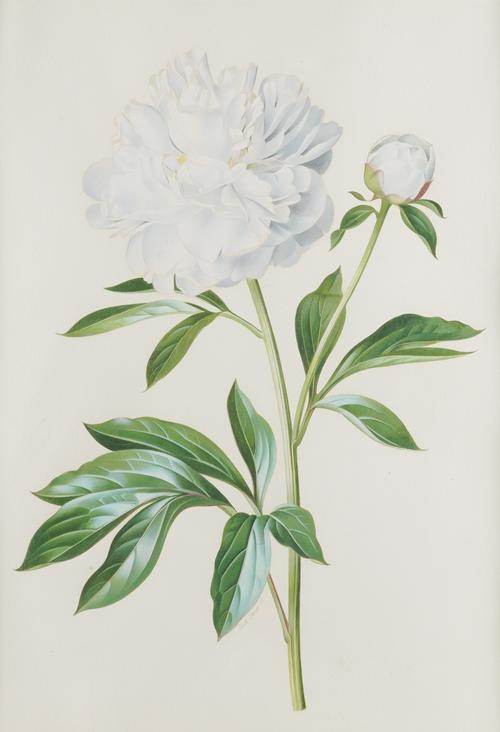 PAUL OSBORNE JONES (AUSTRALIAN, 1921-1997) (2)