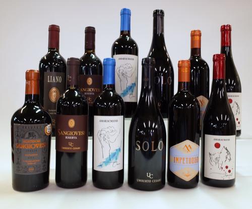 12 BOTTLES ITALIAN RED WINE