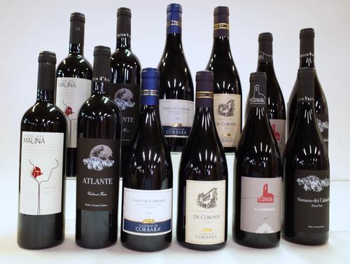 12 BOTTLES ITALIAN RED WINE