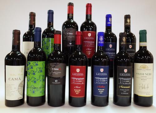 13 BOTTLES ITALIAN RED WINE