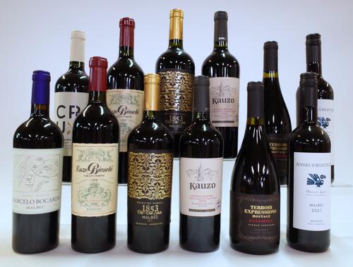 12 BOTTLES ARGENTINIAN RED WINE