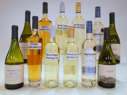 12 BOTTLES ARGENTINIAN WHITE WINE