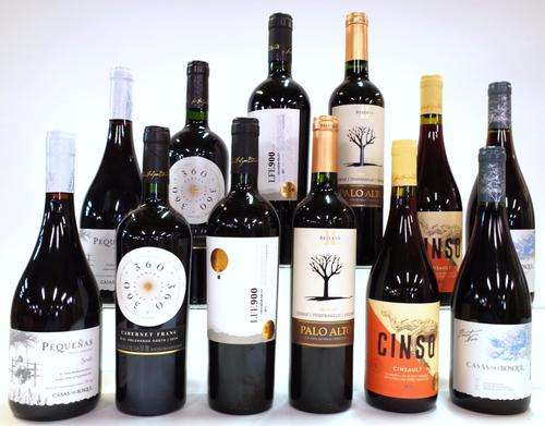 12 BOTTLES CHILEAN RED WINE