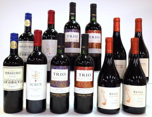 12 BOTTLES CHILEAN RED WINE