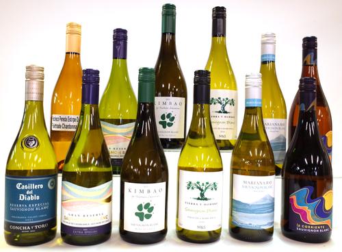 12 BOTTLES CHILEAN WHITE WINE
