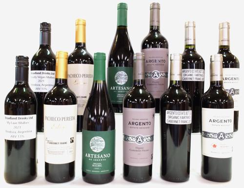 12 BOTTLES ARGENTINIAN RED WINE