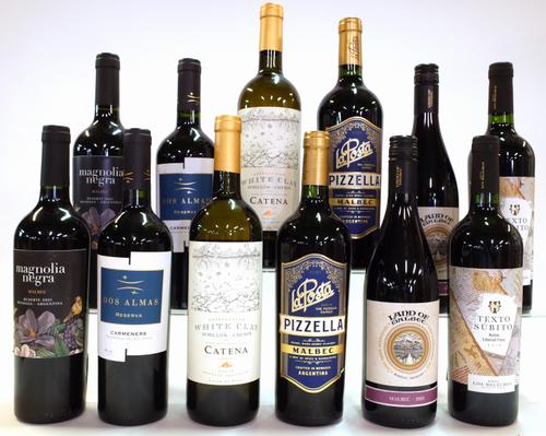 10 BOTTLES ARGENTINIAN RED AND 2 WHITE WINE