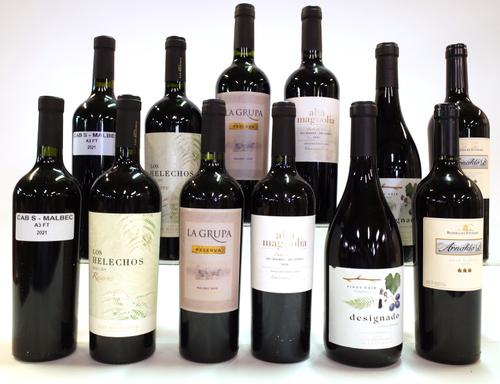 12 BOTTLES ARGENTINIAN RED WINE