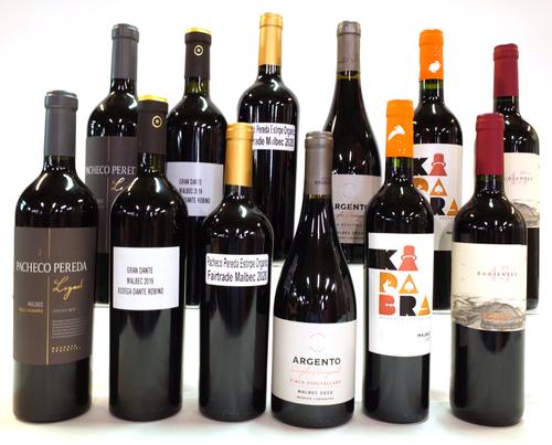 12 BOTTLES ARGENTINIAN RED WINE