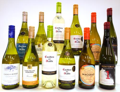 12 BOTTLES CHILEAN WHITE WINE