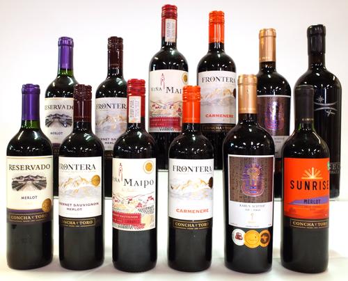 12 BOTTLES CHILEAN RED WINE