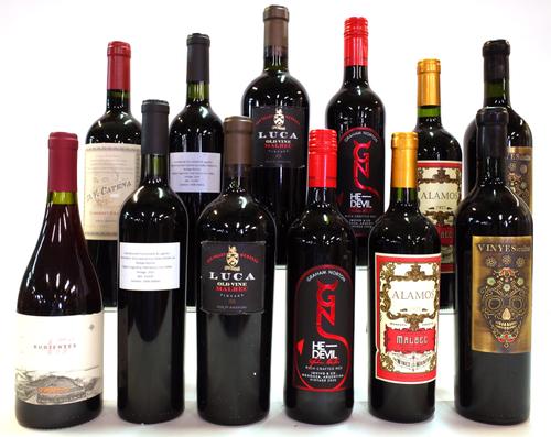 12 BOTTLES ARGENTINIAN RED WINE