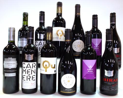 12 BOTTLES CHILEAN RED WINE