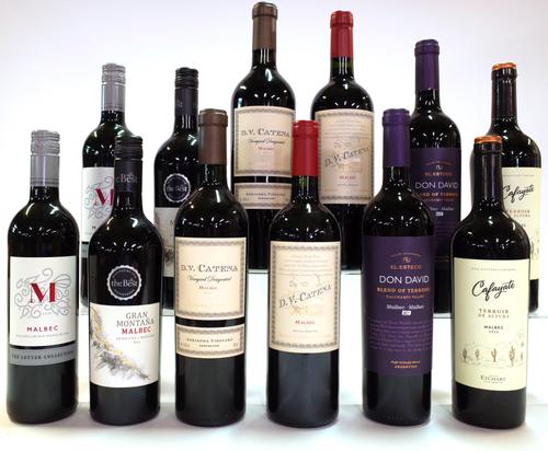 12 BOTTLES ARGENTINIAN MALBEC