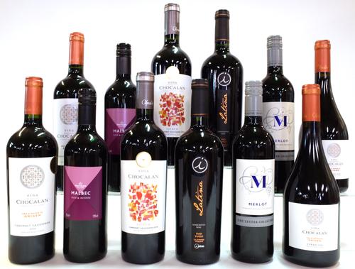12 BOTTLES CHILEAN RED WINE