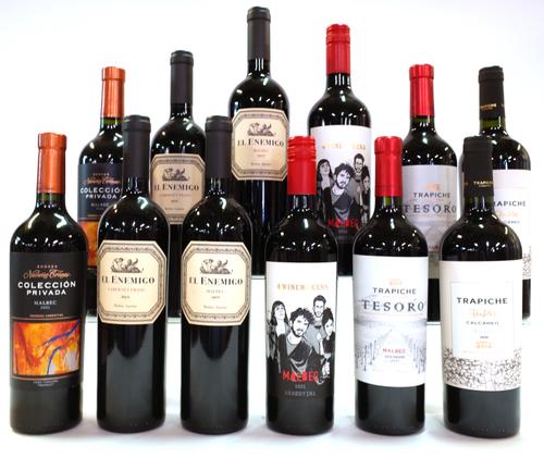 12 BOTTLES ARGENTINIAN RED WINE