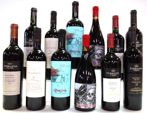 12 BOTTLES ARGENTINIAN RED WINE
