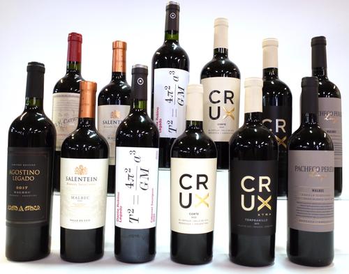 12 BOTTLES AGRENTINIAN RED WINE