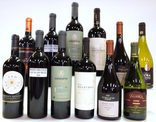 10 BOTTLES CHILEAN RED AND 2 WHITE WINE