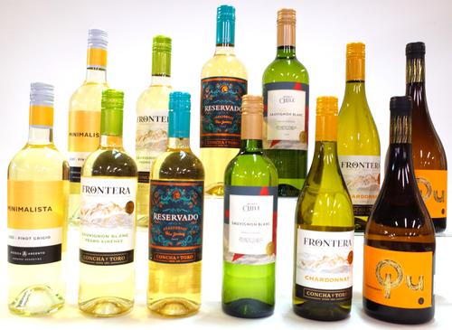 12 BOTTLES CHILEAN WHITE WINE