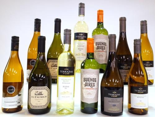 12 BOTTLES ARGENTINIAN WHITE WINE