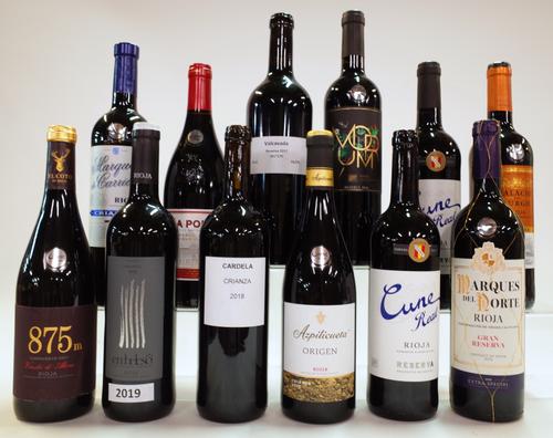 12 BOTTLES SPANISH RED WINE