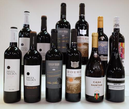 11 BOTTLES PORTUGUESE RED AND 1 WHITE WINE