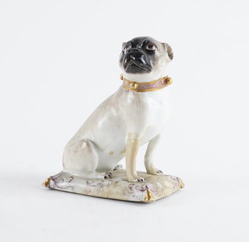 A MEISSEN FIGURE OF A PUG DOG