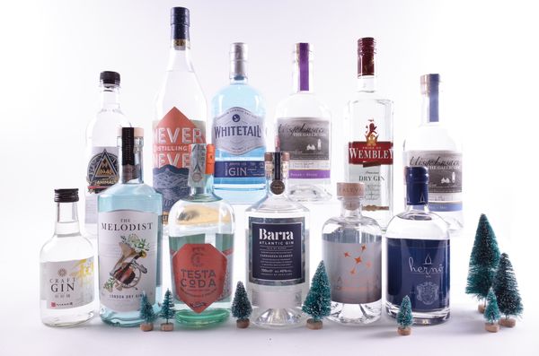 12 BOTTLES GIN