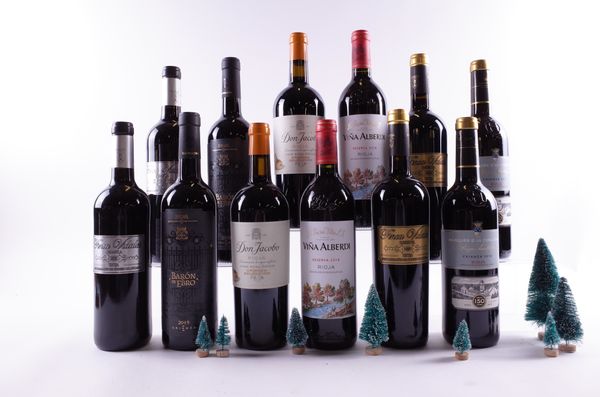 12 BOTTLES RIOJA