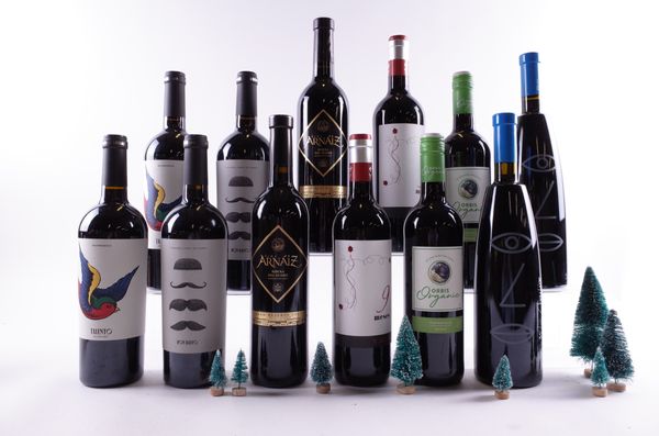 12 BOTTLES SPANISH RED WINE