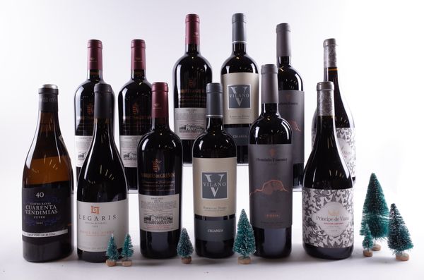 12 BOTTLES SPANISH RED WINE