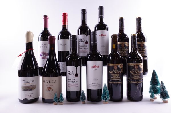 12 BOTTLES SPANISH RED WINE