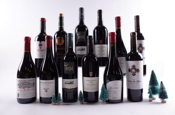 12 BOTTLES SPANISH RED WINE