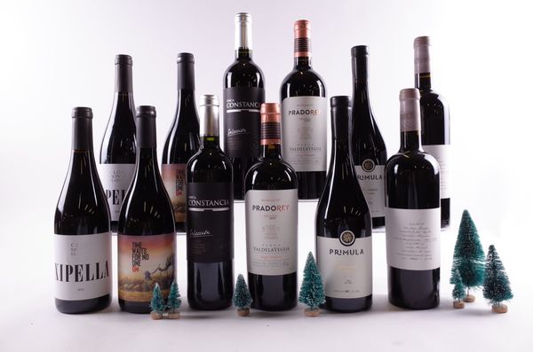 12 BOTTLES SPANISH RED WINE