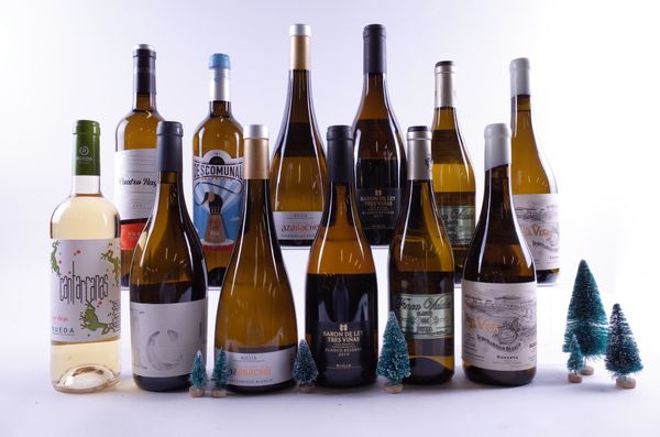 12 BOTTLES SPANISH WHITE WINE