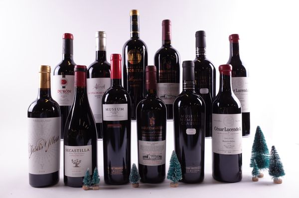 12 BOTTLES SPANISH RED WINE