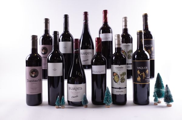 12 BOTTLES SPANISH RED WINE