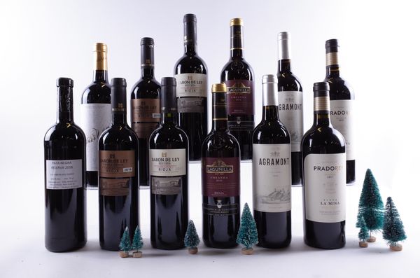 12 BOTTLES SPANISH RED WINE