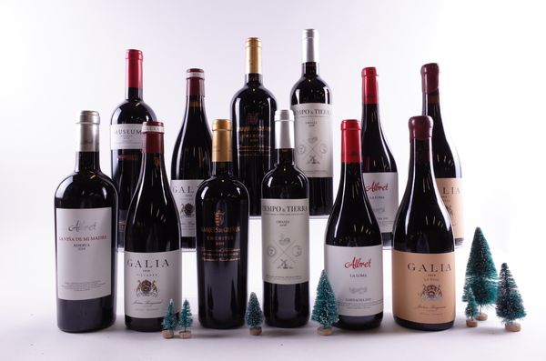 12 BOTTLES SPANISH RED WINE