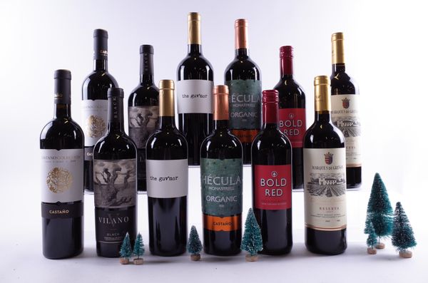 12 BOTTLES SPANISH RED WINE