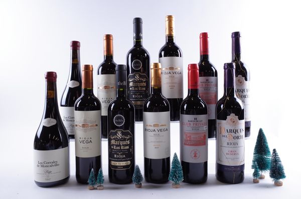 12 BOTTLES SPANISH RED WINE