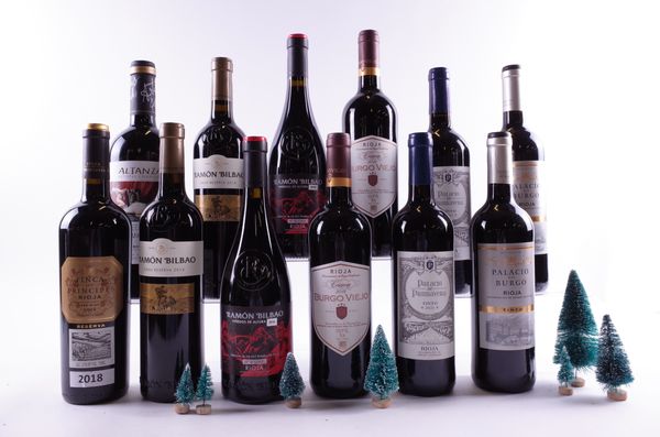 12 BOTTLES SPANISH RED WINE