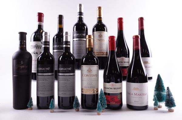 12 BOTTLES SPANISH RED WINE