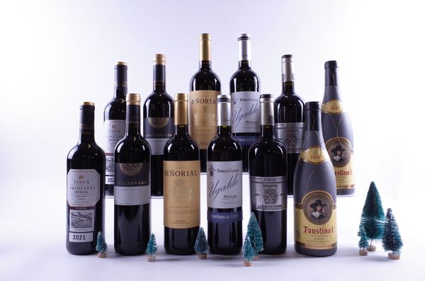 12 BOTTLES RIOJA