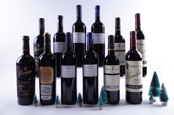 12 BOTTLES SPANISH RED WINE