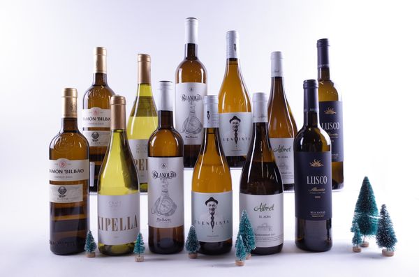 12 BOTTLES SPANISH WHITE WINE