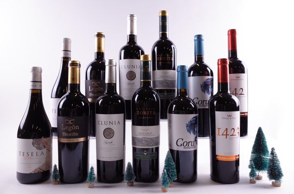 12 BOTTLES SPANISH RED WINE