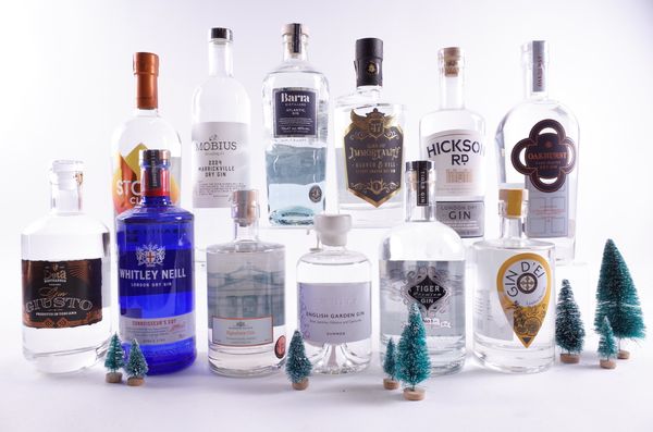 12 BOTTLES GIN